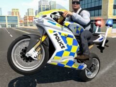 Police Chase Motorbike Driver