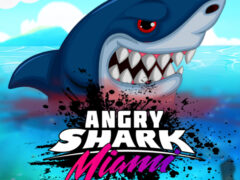 Angry Shark Miami