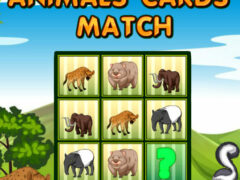 Animals Cards Match