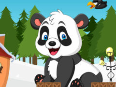 Christmas Panda Adventure