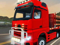 City Truck Driver