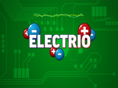 EG Electrode