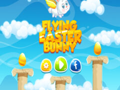 Flying rabbit