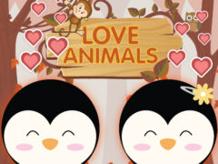 Love Animals