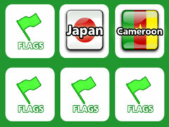 Memory with Flags
