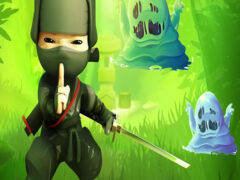 Ninja VS Slime