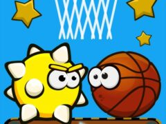 Orange Ball: BasketGo Puzzle