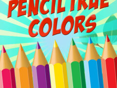 Pencil True Colors