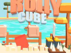 Rolly Cube