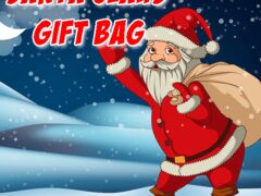 Santa Claus Gift Bag Jigsaw
