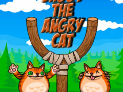 Shot the Angry Cat