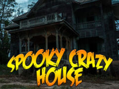 Spooky Crazy House