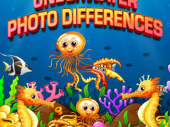 Underwater Photo Differences