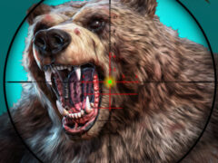 Wild Bear Hunting Game