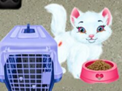 Baby Taylor Pet Care – Save Cute Animals