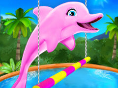 My dolphin show – game
