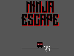 Ninja escape